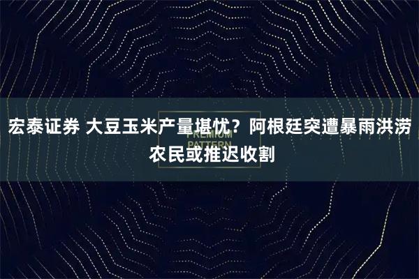 宏泰证券 大豆玉米产量堪忧？阿根廷突遭暴雨洪涝 农民或推迟收割